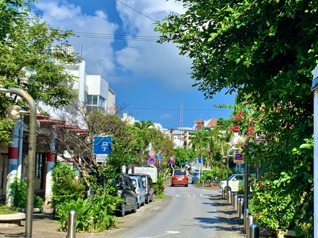 沖縄県沖縄市のペット葬式・ペット葬祭場